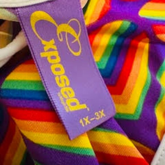 Magic Silk 'Exposed' PRIDE Criss Cross Teddy ~ 1X-3X NWT - Picture 2 of 5